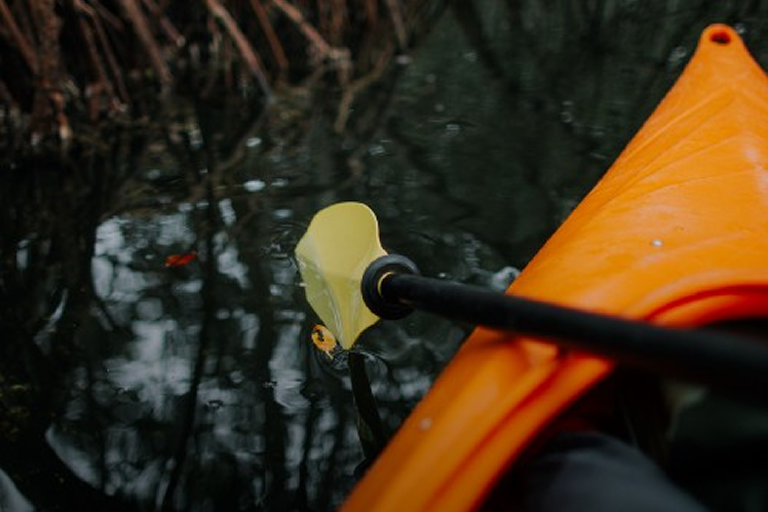 barco-e-remo-na-agua-importancia-da-cultura-organizacional